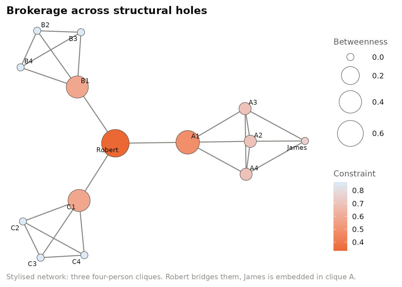 A broker spanning structural holes (stylised network). Node size shows betweenness centrality and colour shows Burt's network constraint, both computed with igraph. Robert, who bridges three otherwise disconnected groups, has high betweenness and low constraint. James, embedded in a single closed group, has the reverse.